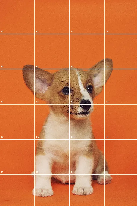 Dog portrait with drawing grid overlay